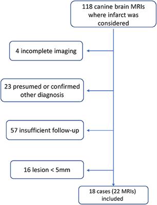 Temporal and sequence-related variability in diffusion-weighted imaging of presumed cerebrovascular accidents in the dog brain